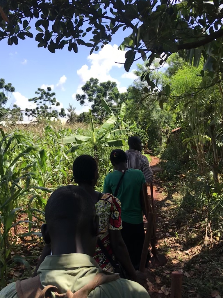 A transect walk with a group of local youth through their garden in Bujagali, a village in Jinja, Uganda, from the piece 